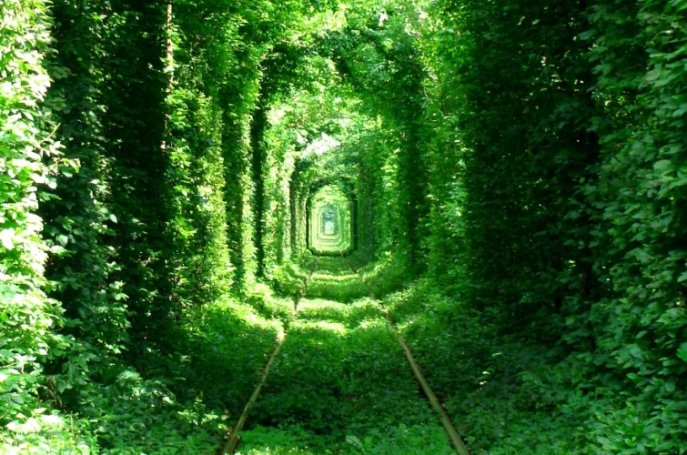 http://www.ukraine-kiev-tour.com/
