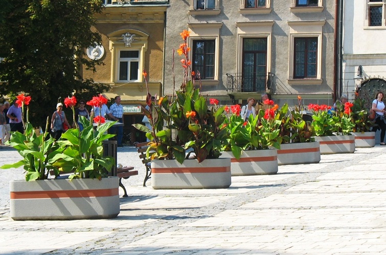 komserwis-sandomierz-donice-glowne