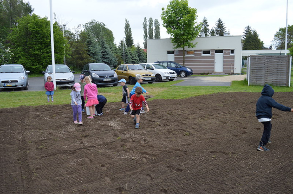 łąki-kwietne-edukacja