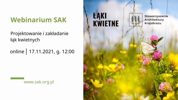 łąki kwietne