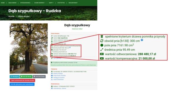 Co powinniśmy wiedzieć o drzewach w mieście