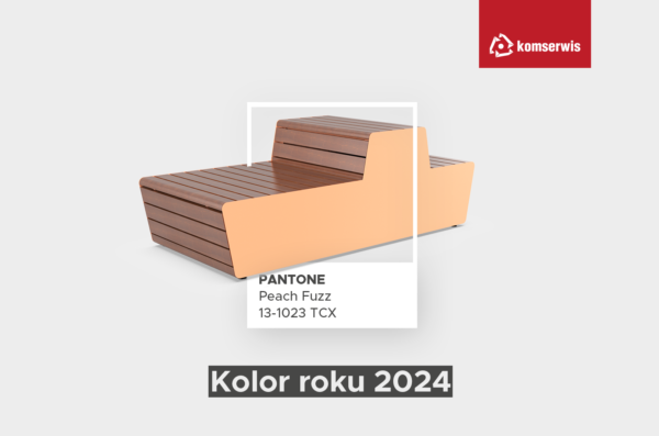 kolor roku 2024