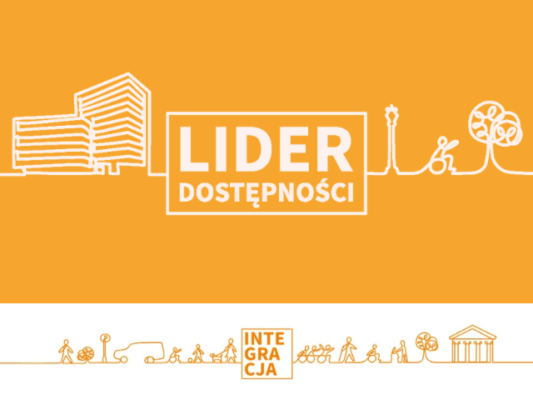 Lider dostępności 2024